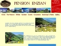 Pension Enzian