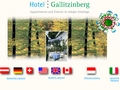 Hotel Gallitzinberg